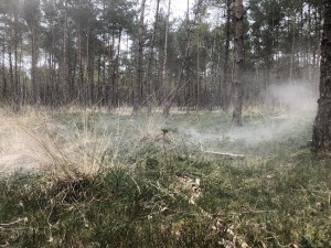 Foto-gemaakt-net-het-asverstrooien